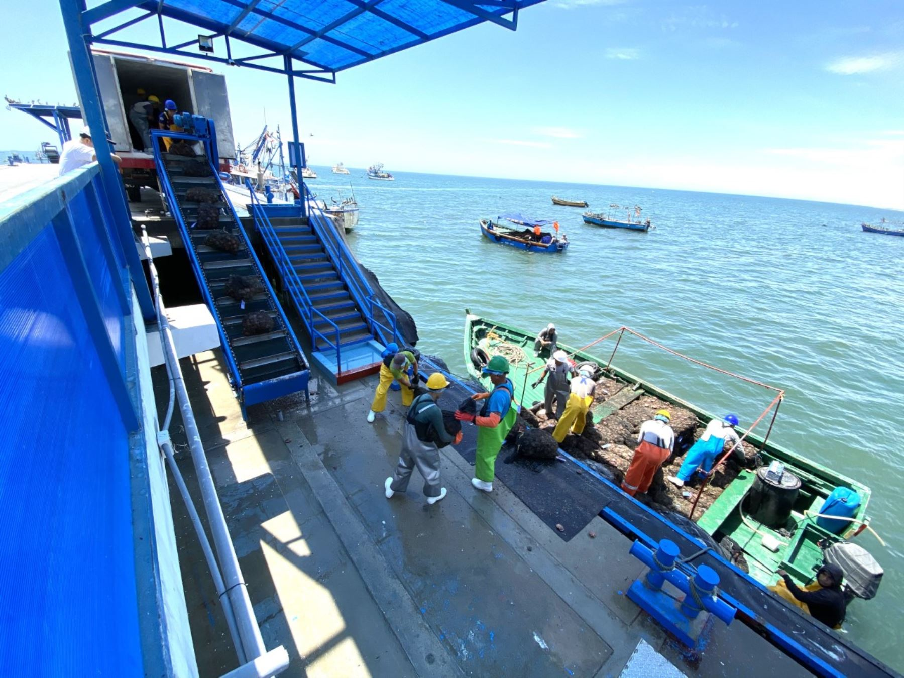 Anuncian monitoreo sanitario en 28 desembarcaderos pesqueros artesanales