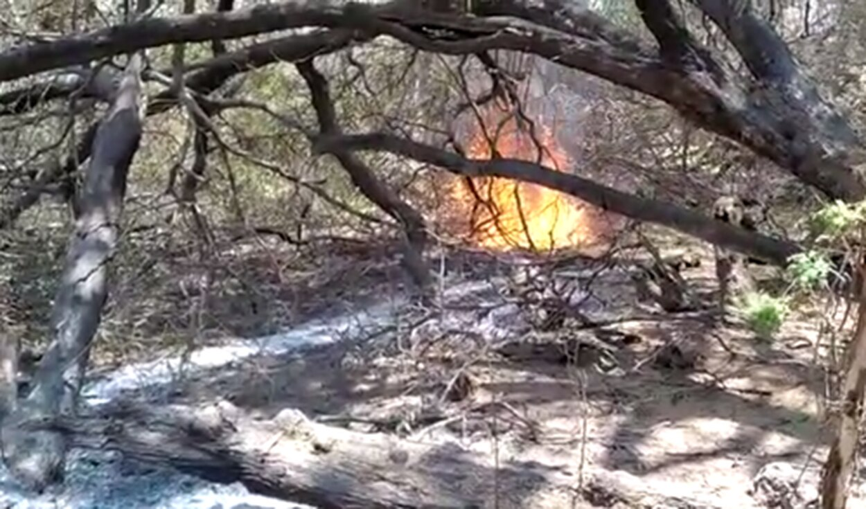 Cinco hectáreas de Bosque de Cañoncillo afectadas por incendio forestal