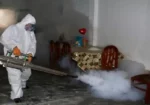 Dengue en La Libertad: se intensifican labores de tras aumento de casos en niños