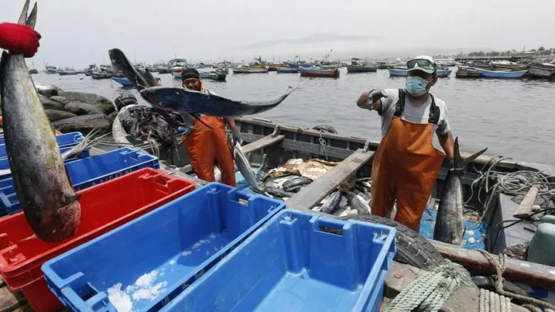 Repsol | Derrame de petróleo en Ventanilla: pescadores marcharán y responsabilizarán al Ejecutivo por lo ocurrido