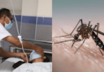 La Libertad: Aumenta a 20 la cifra de fallecidos por dengue en la región