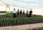 PEJEZA apoya a la Municipalidad de Pacasmayo con plantones
