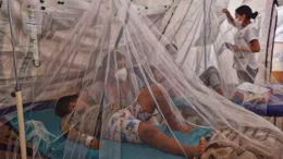 El dengue se dispara: cerca de 300 casos nuevos se detectan a diario en el Perú