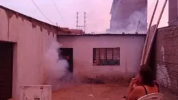 Fumigando 3.420 viviendas en Libertad: lucha contra la propagación del dengue