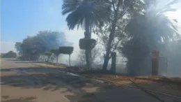 Rápida Respuesta Frente a Incendio en Jequetepeque Salvaguarda la Comunidad