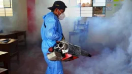 Alerta en Magdalena: Aumentan los casos de dengue en la provincia de Cajamarca