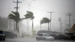 Alerta en la Costa: Vientos de Moderada a Fuerte Intensidad Hasta el Domingo