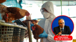 Chepén Implementa Plan Piloto para Mejorar la Sanidad Avícola en el Norte del País