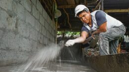 Sueños en Concreto: Mejorando Vidas