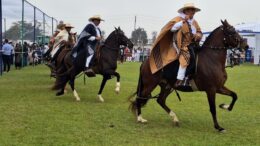 Caballo Peruano de Paso:  Pimentel abre sus puertas