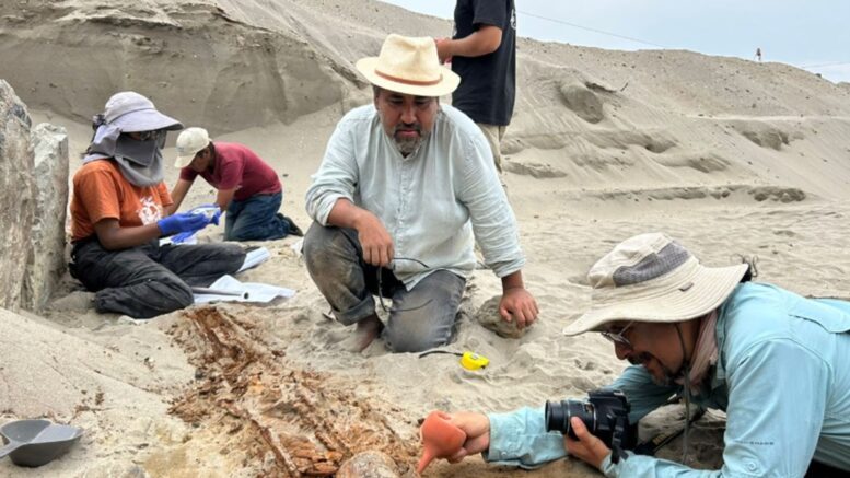 Descubrimientos Arqueológicos Sorprendentes en Perú 2024